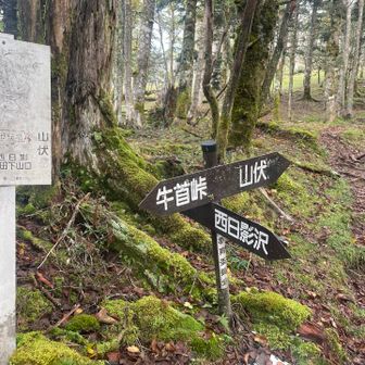 もうひとつのメジャールートである日陰沢からの合流点。時間あれば下から歩いてみたかった