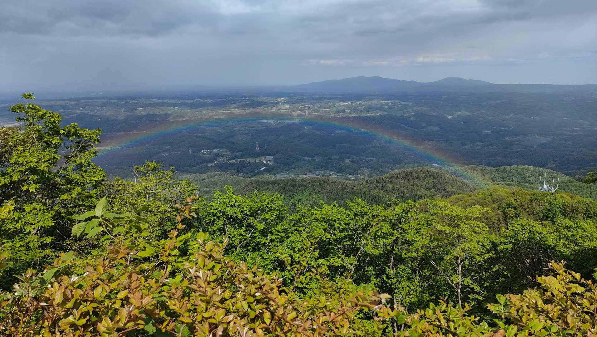 雨上がり日が射すと…
ほら、やっぱり虹架かった🌈😆