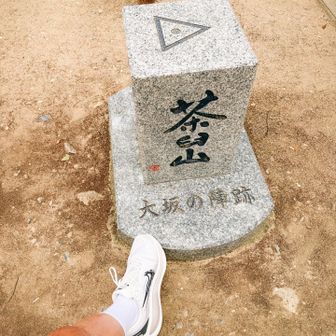 標高は26mらしい