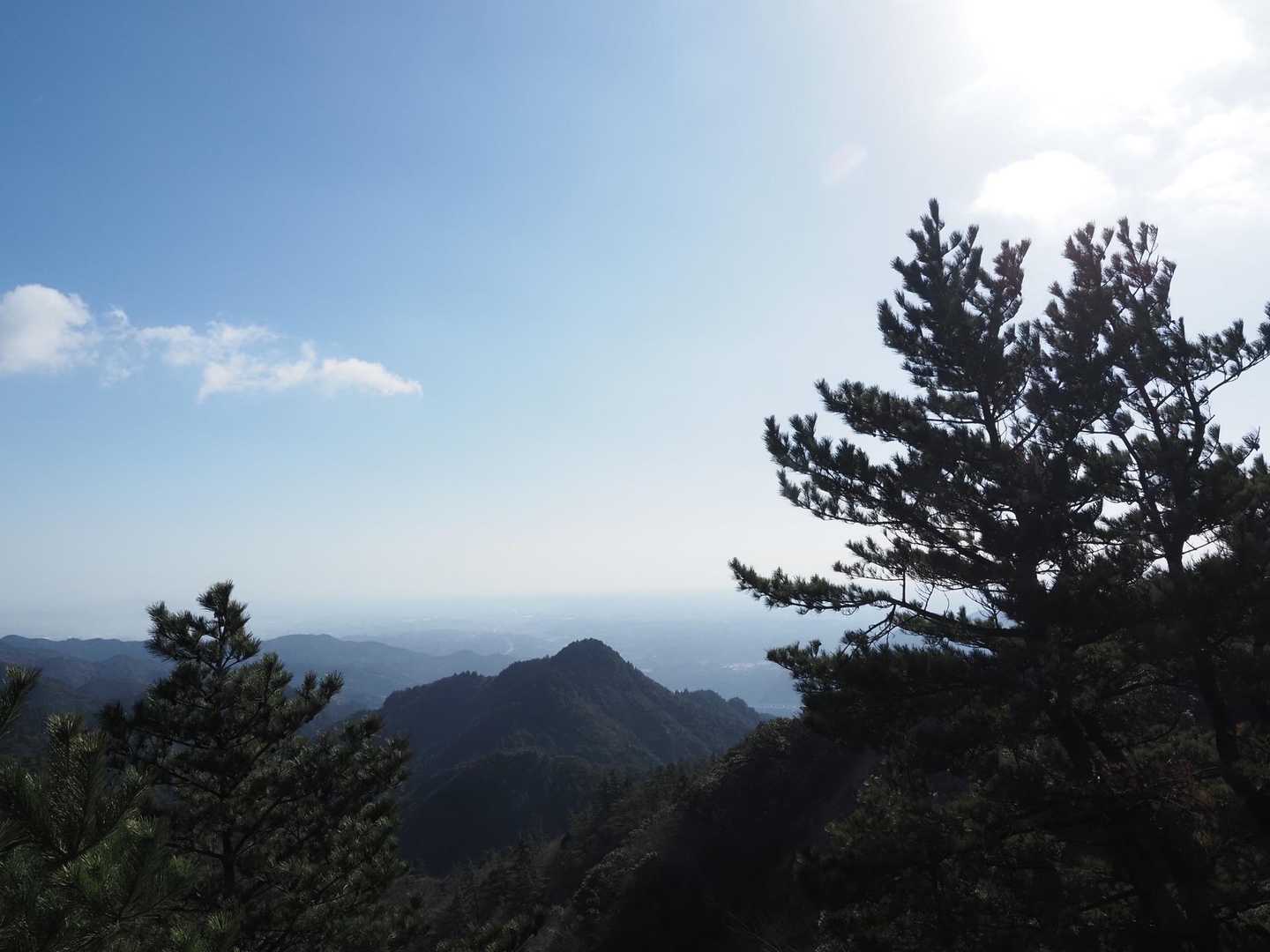安楽峠-安楽峠登山口-臼杵ヶ岳-小太郎峠-船石-御所平 往復コースの写真