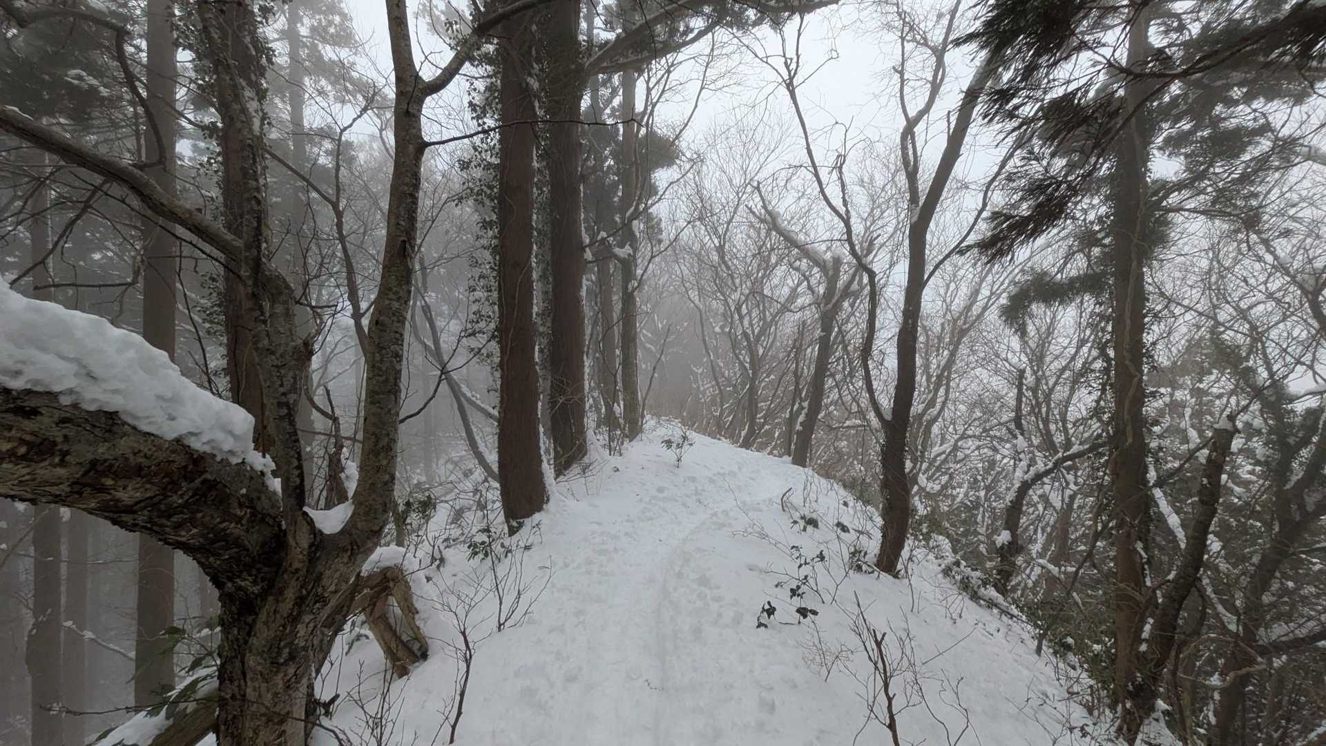 白くなっていく