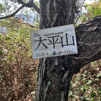 大平山⛰️山頂