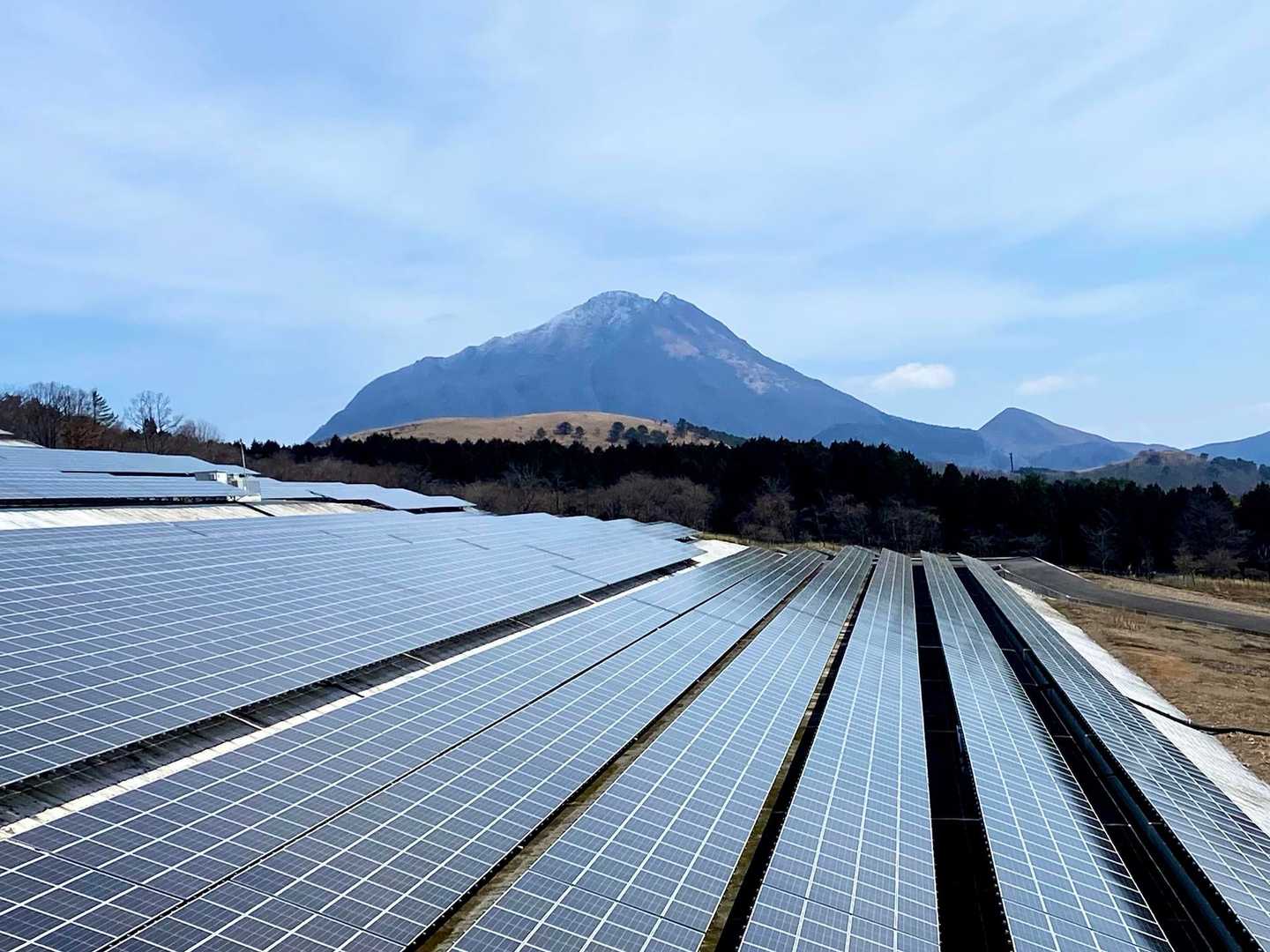 太陽光パネル･･･
やっぱり自然が損なわれる気がしてならない(¯―¯💧)