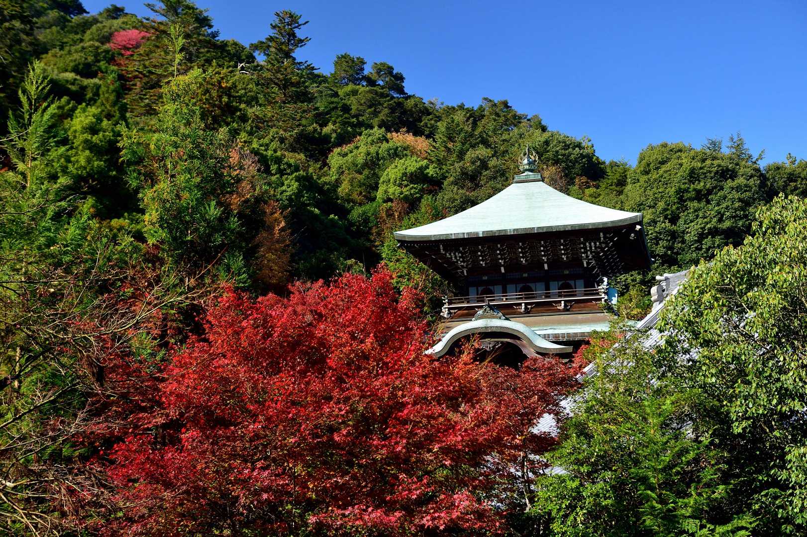 大聖院の紅葉も綺麗