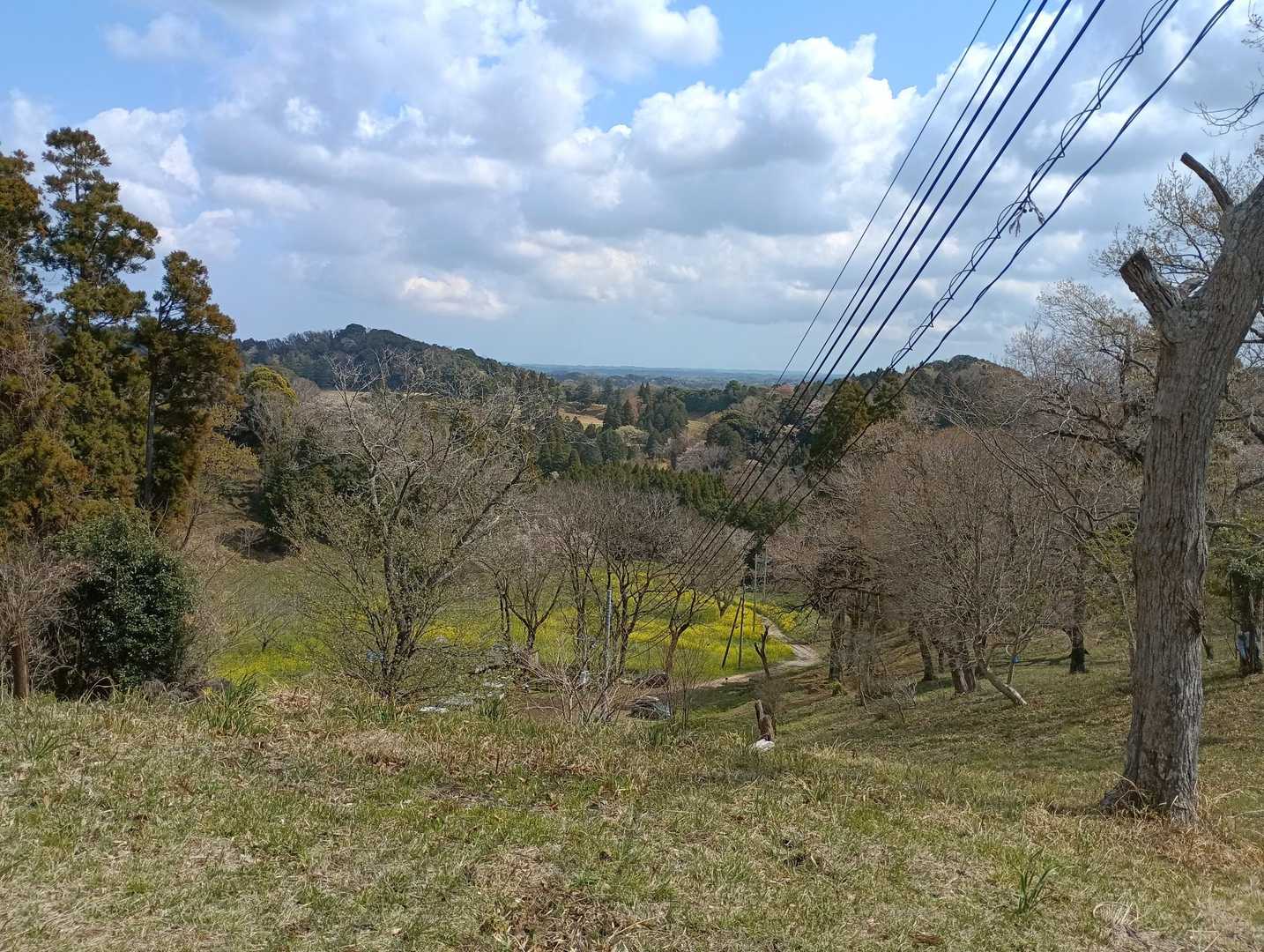 少し雲があり、遠くは見えませんが、春らしい景色です。