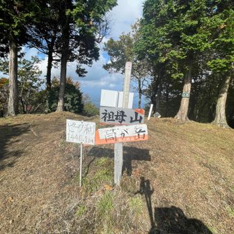 ここもピークあります。