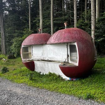 りんご小屋の中にフジのダンボールあり📦🤭

まさにりんご小屋🍎