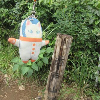 草戸山山頂