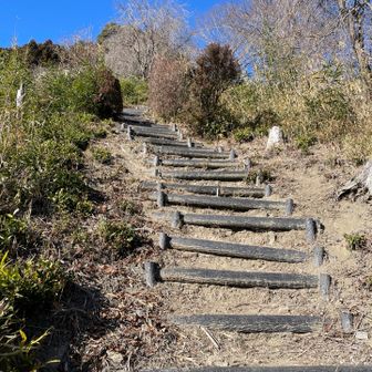 今日は階段多い😖