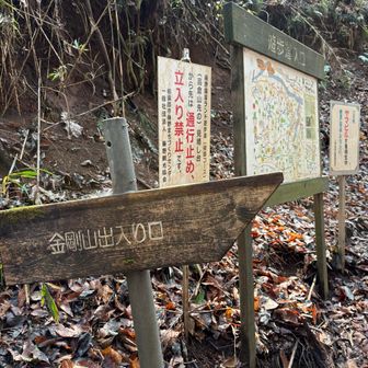 ここからまた入ります