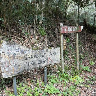 伏姫籠穴を拝観したら、遊歩道があります。しばらくは普通の車道。