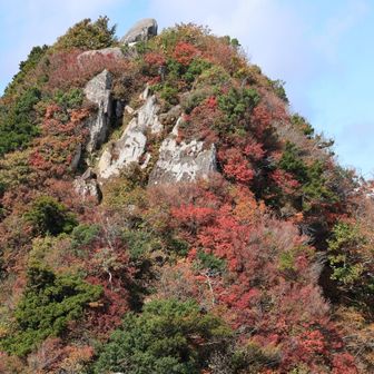 🐦‍⬛ヶ山 望遠📸