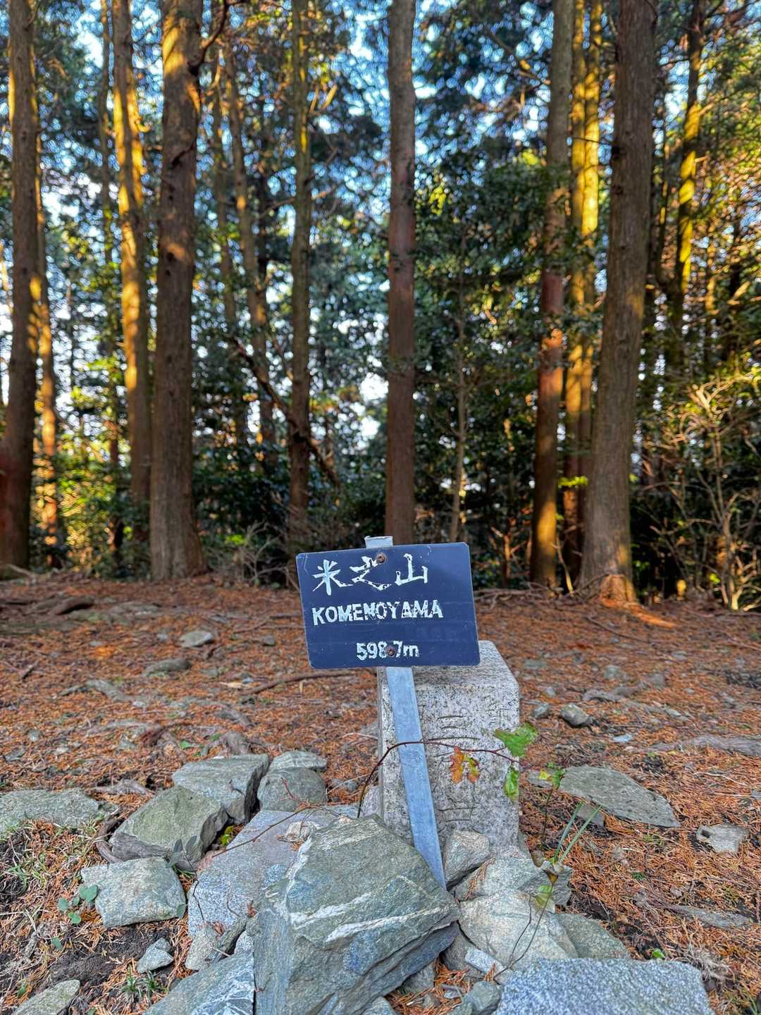 米の山、山頂　とうちゃーく( ´∀｀)