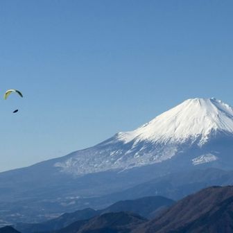 気持ちよさそうだねぇ