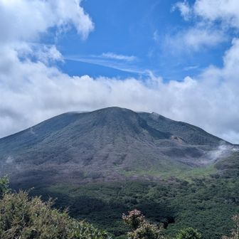 晴れてきた