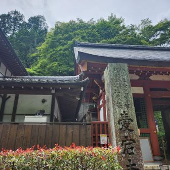 愛宕寺は今日もオシャレな外国人で大賑わい✨