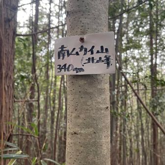 薄らトレースあります