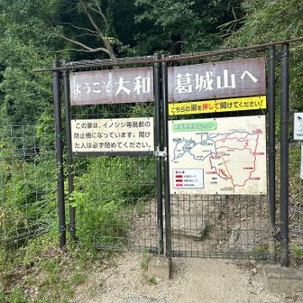 このゲート押して開くんですね。初めは引いてました💦