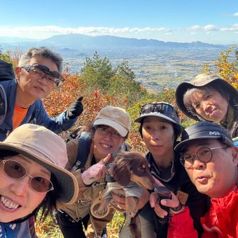 ダイトレバックに