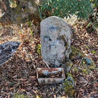最後のピーク蓬莱山へはなかなか過酷な道でした