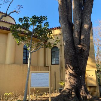 大松山🩶はこの辺りなのかな ~
よくわからず😁