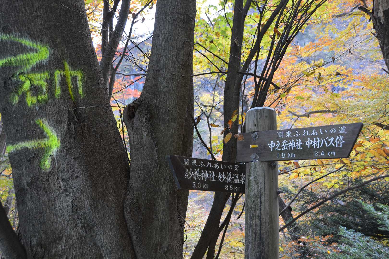 道を間違たけど、あと3km。