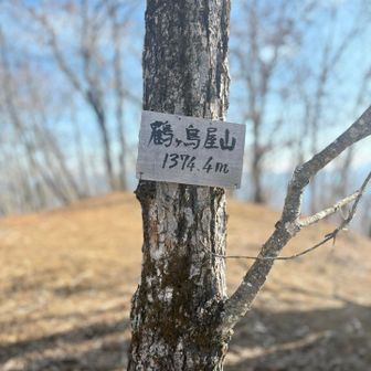 つるがとややまって読む🧐