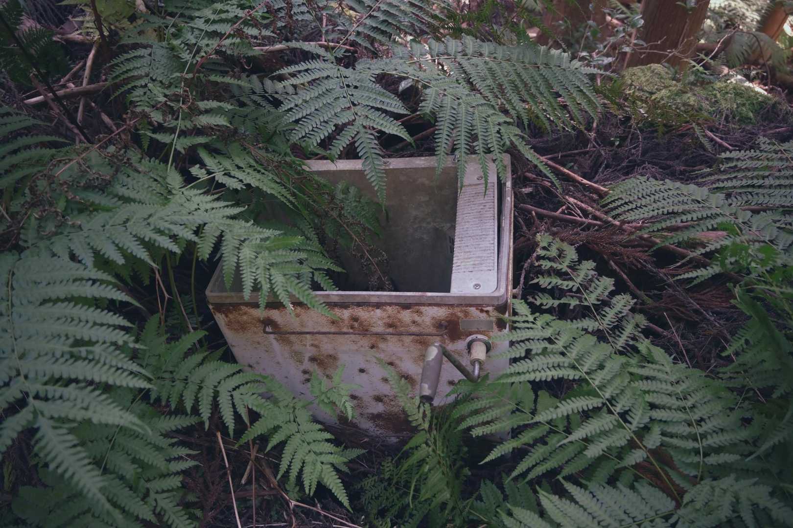 烏帽子山俵石登山口-烏帽子山 往復コースの写真