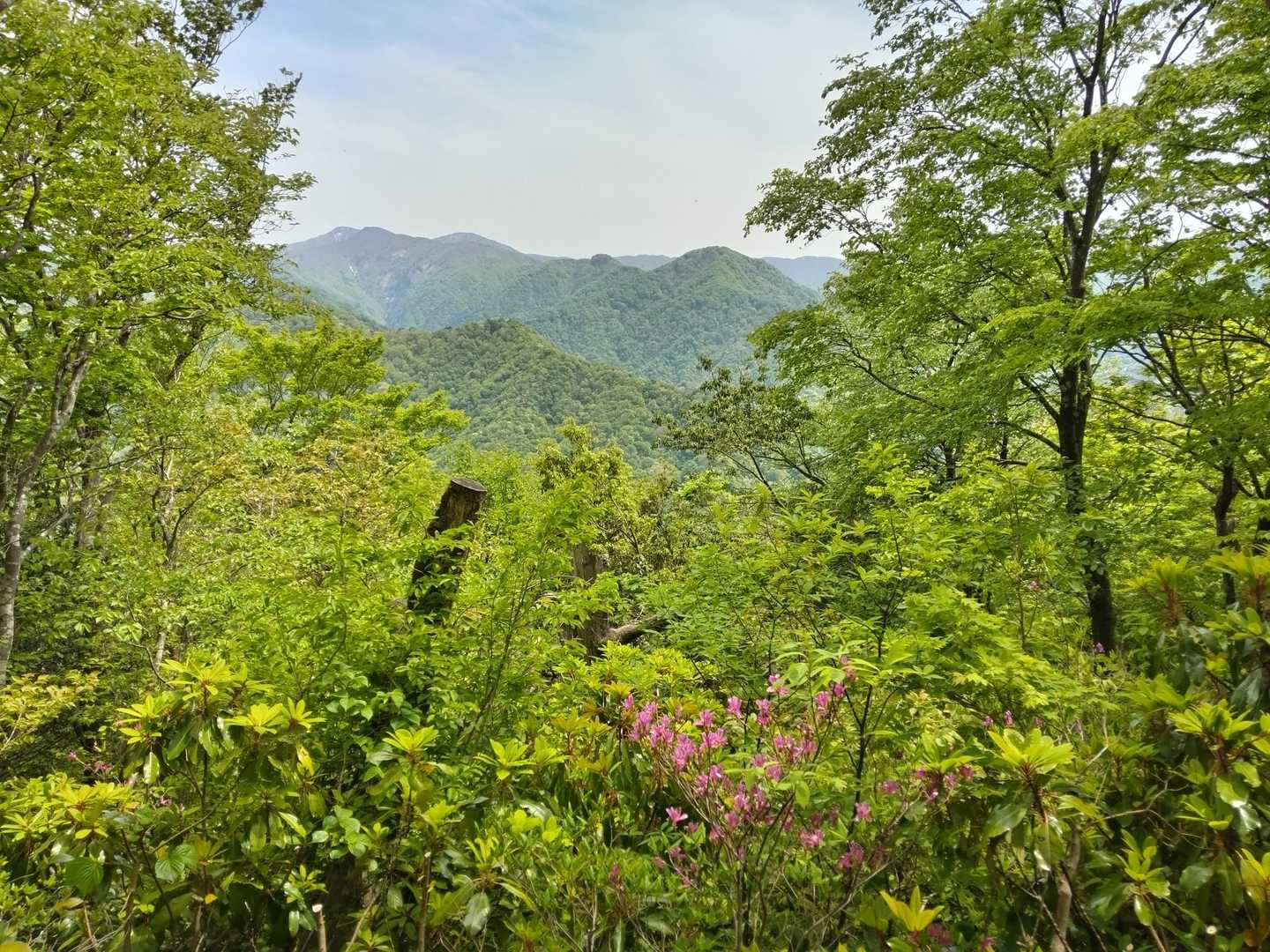 市谷の登山口-蟹ノ目山 周回コースの写真