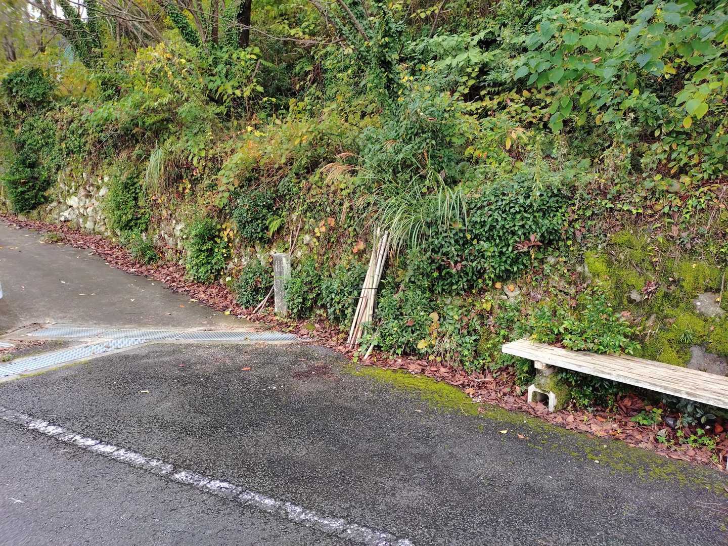 ここから登山道ぽいですが
さすが20番札所　
ベンチ横にバンブーストックが
沢山あります。😁