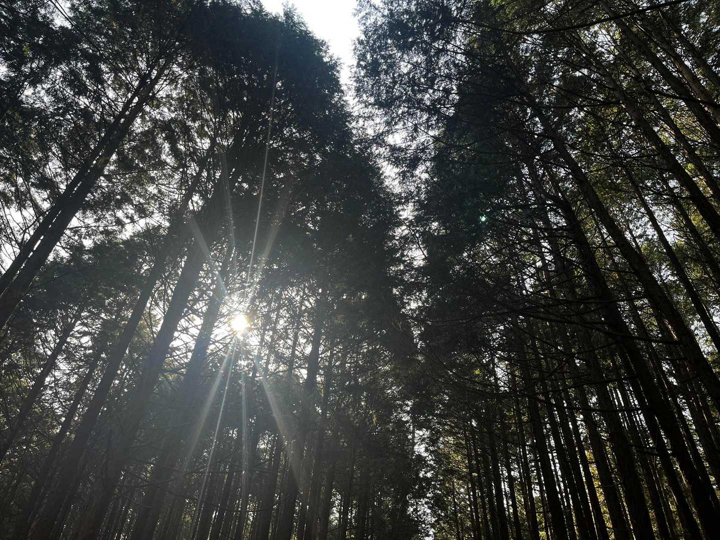静かな朝🌅