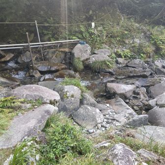 気温がみるみる上昇し、滝汗💦
下山途中から沢の音が聞こえ、待ち遠しさ膨らむ
今コース唯一の水場
冷たくて、気持ちよ😆