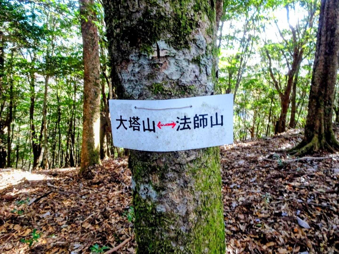 大塔山との分岐↔️
大塔山への周回コースは時間がなく断念😮‍💨