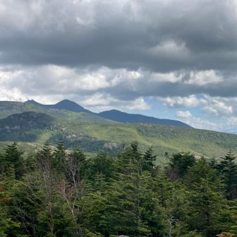 こちらは南八ヶ岳の山々。
もう完全に夏の景色です(o^^o)

早く横岳にツクモグサ見に行きたい！！