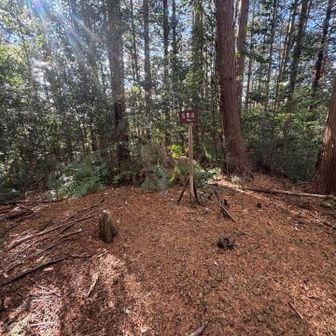 さぁココから戻るのはどうしよう？来た道を戻るパターンと…怪しい踏み跡を辿るパターン…🤣