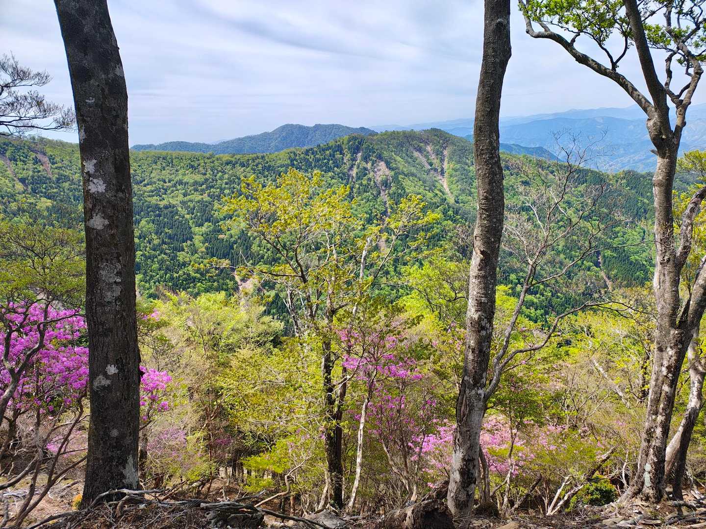 宇土内谷登山口-大崩山 往復コースの写真