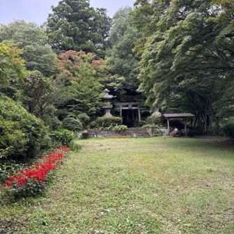烏峠稲荷神社⛩木に埋もれているので神社が見えない🌳🌳🌳