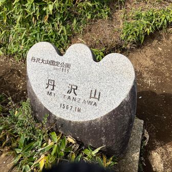 やっと会えたね
