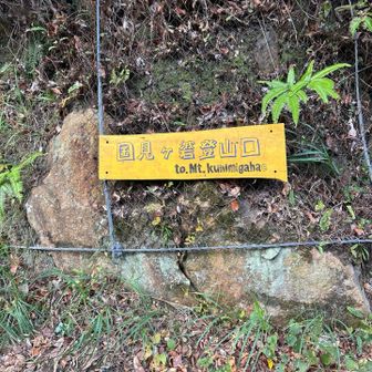 まずはこちらから国見ヶ婆を目指す。国見ヶ婆は“岩”扱いだけど、登山口とあるから山頂ランドマークでいいのでは…？