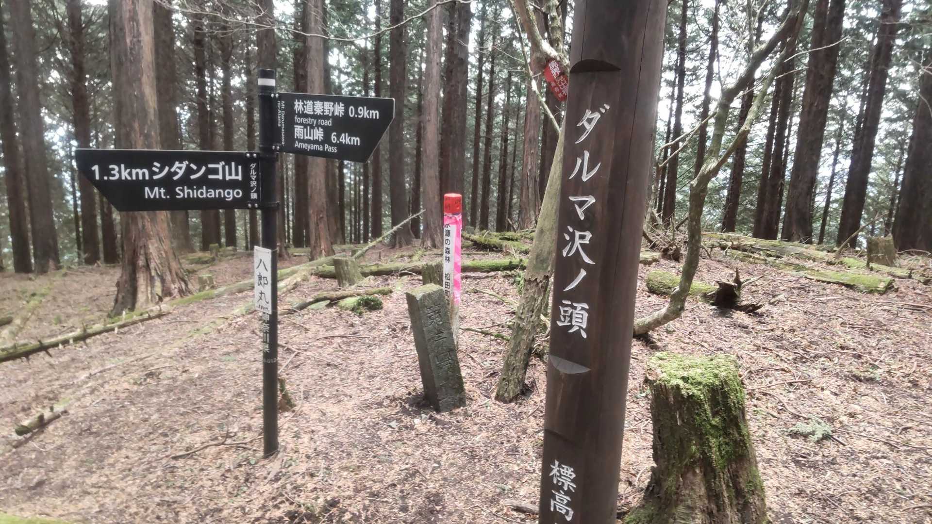そしてダルマの階段もサクッとクリアし…(;´Д｀)ﾊｧﾊｧ