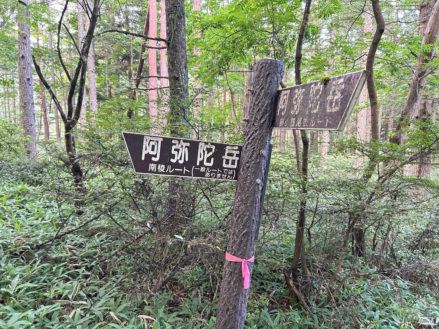 舟山十字路より南稜ルートへ
