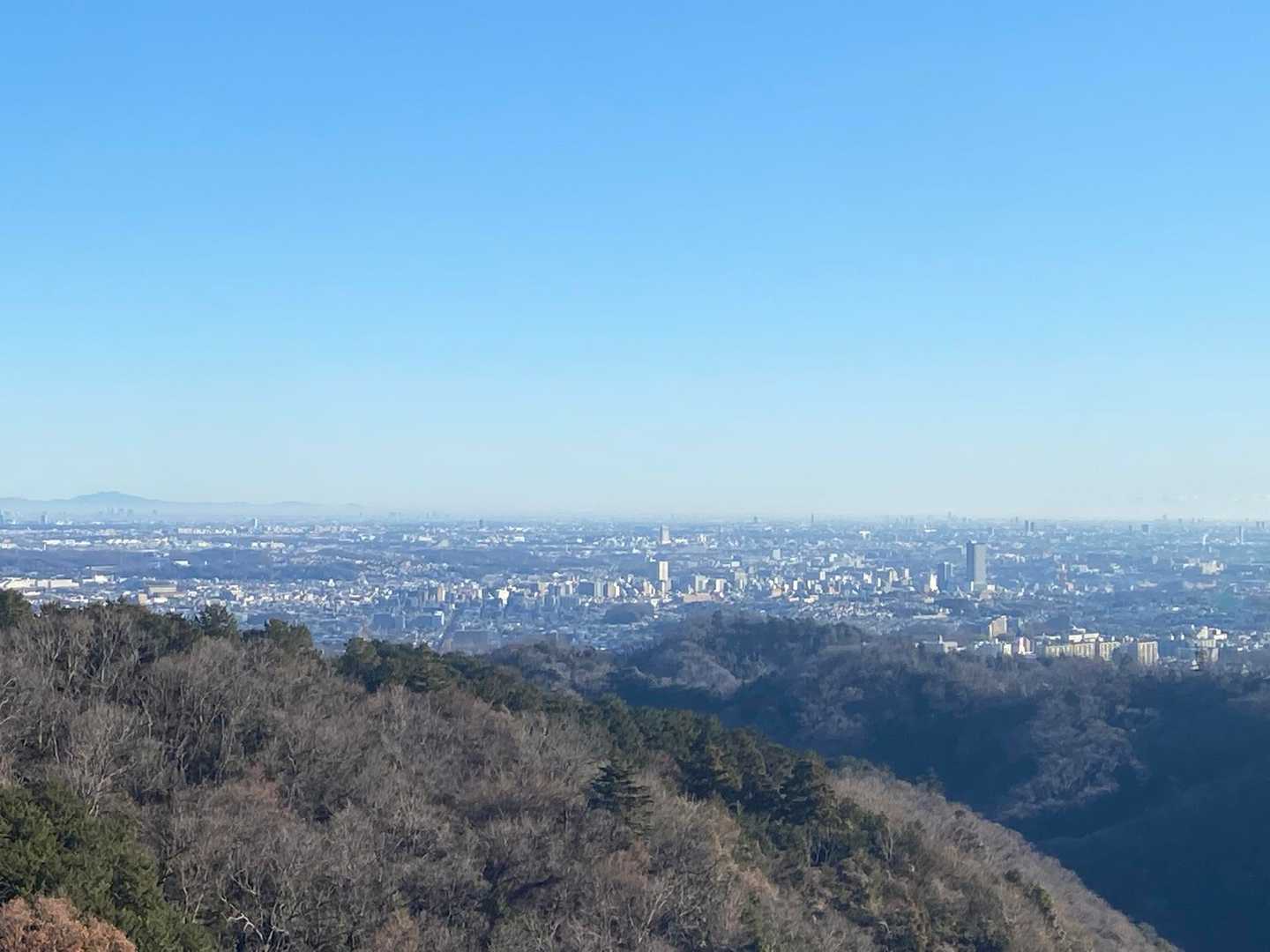 スカイツリーと筑波山が見えた