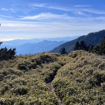 竜ヶ岳からの縦走者は５、６名