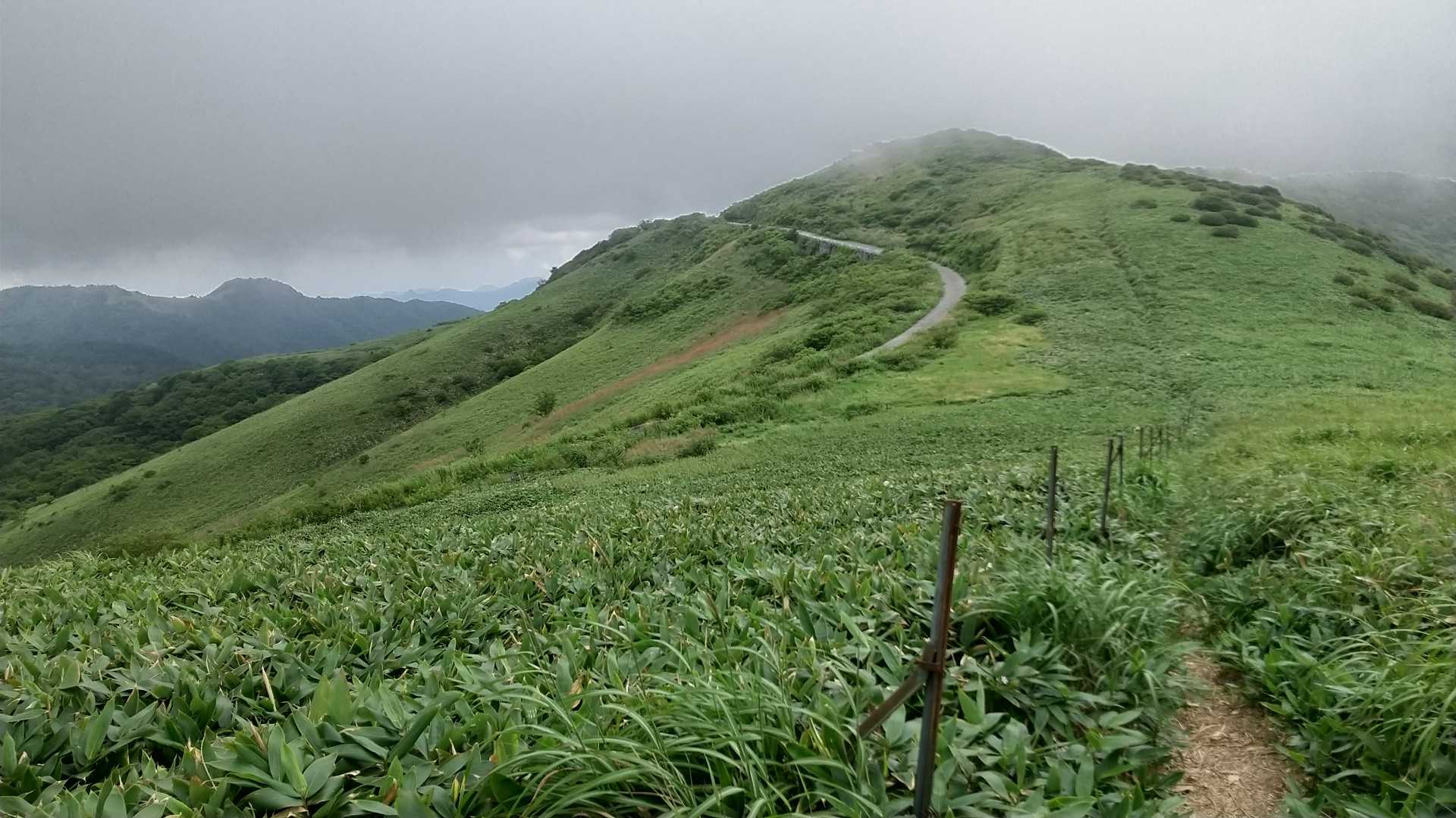 分岐が分かりづらかったので🤔
林道の途中から無理やり登山道には入り、登って来ました
向こうのちょっと高いのが笠取山です🙂
山頂にガスがかかりっぱなしだったので登りませんでした☁️