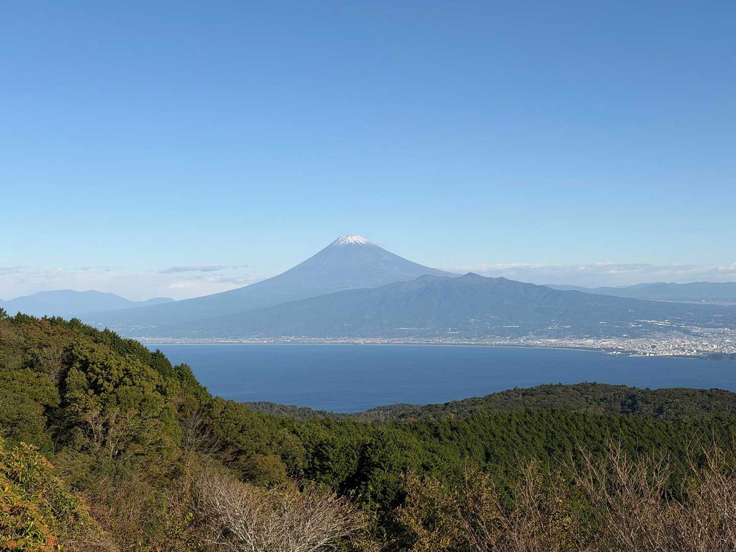 だるま山高原-金冠山-達磨山 往復コースの写真