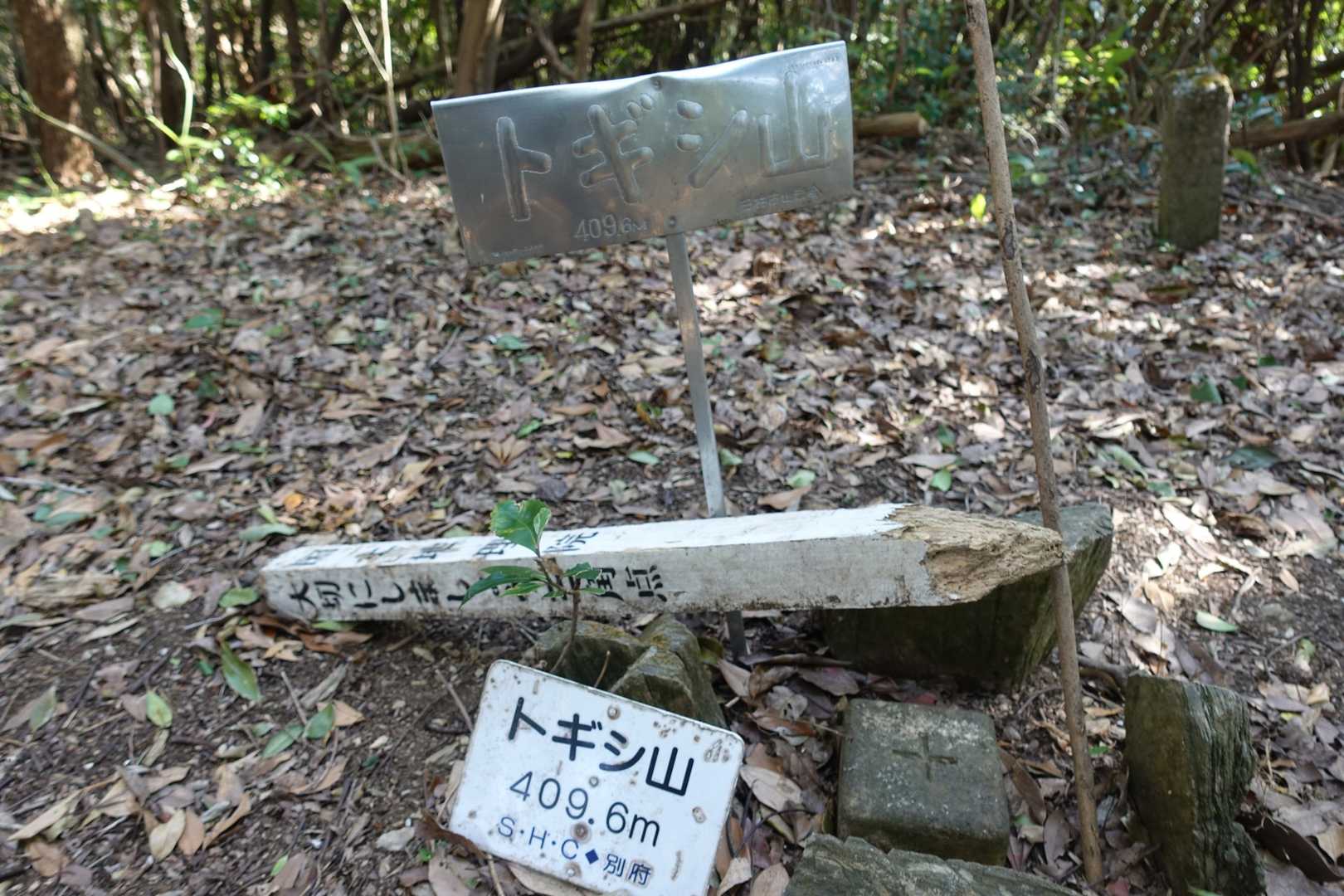 トギシ山山頂に到着！ 408mピークよりほんの少し高いです。展望はありません。