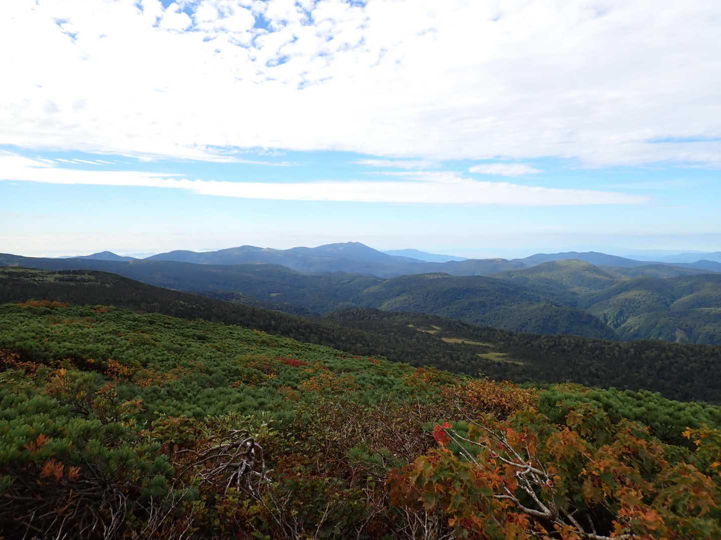 秋駒、後ろに薄く白岩岳、手前に大白森、ギザギザの荷葉岳。