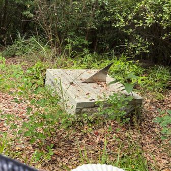 蜘蛛の巣🕸️、虫🦟と格闘しながら、
潮音寺山⛰️山頂到着🛬