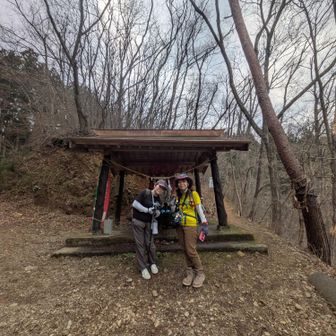 昨日も！助かりました😊御利益がありそうです✨