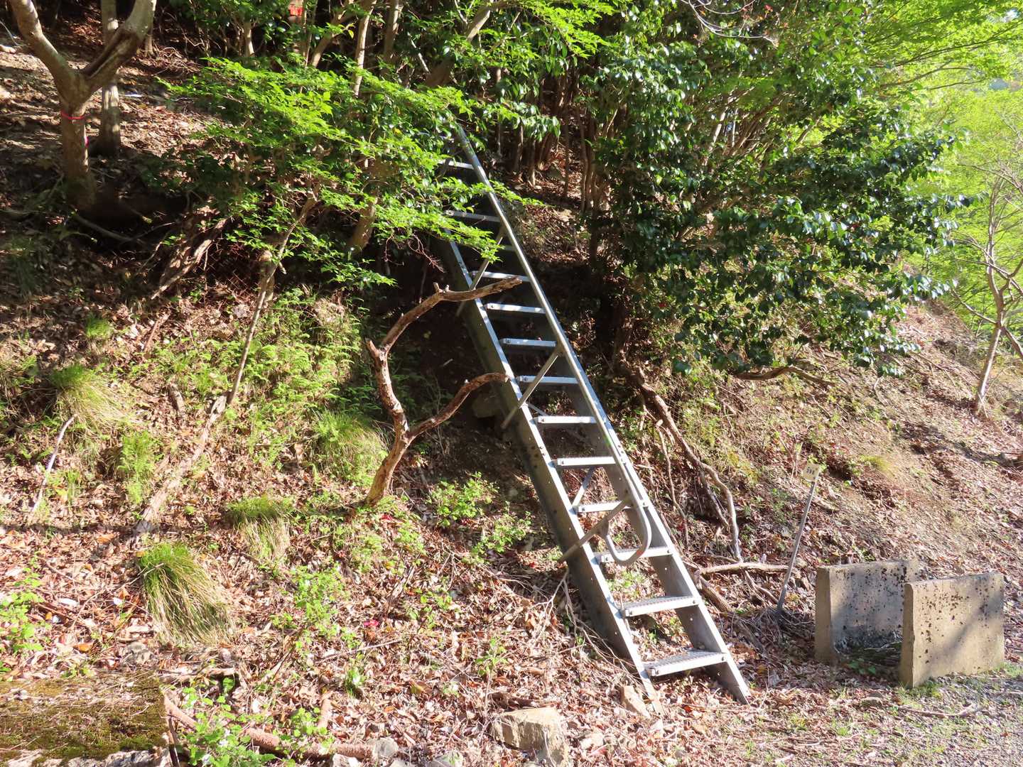 登山口駐車場の入口近くにある鉄はしごを登る